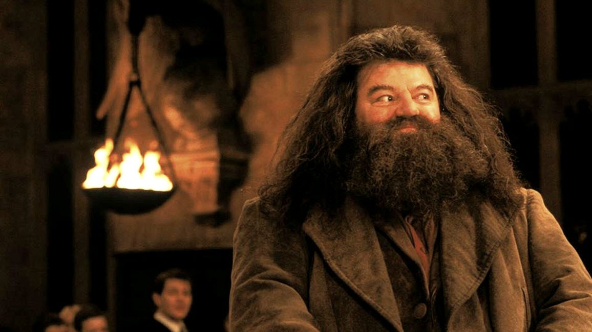 harry potter hagrid