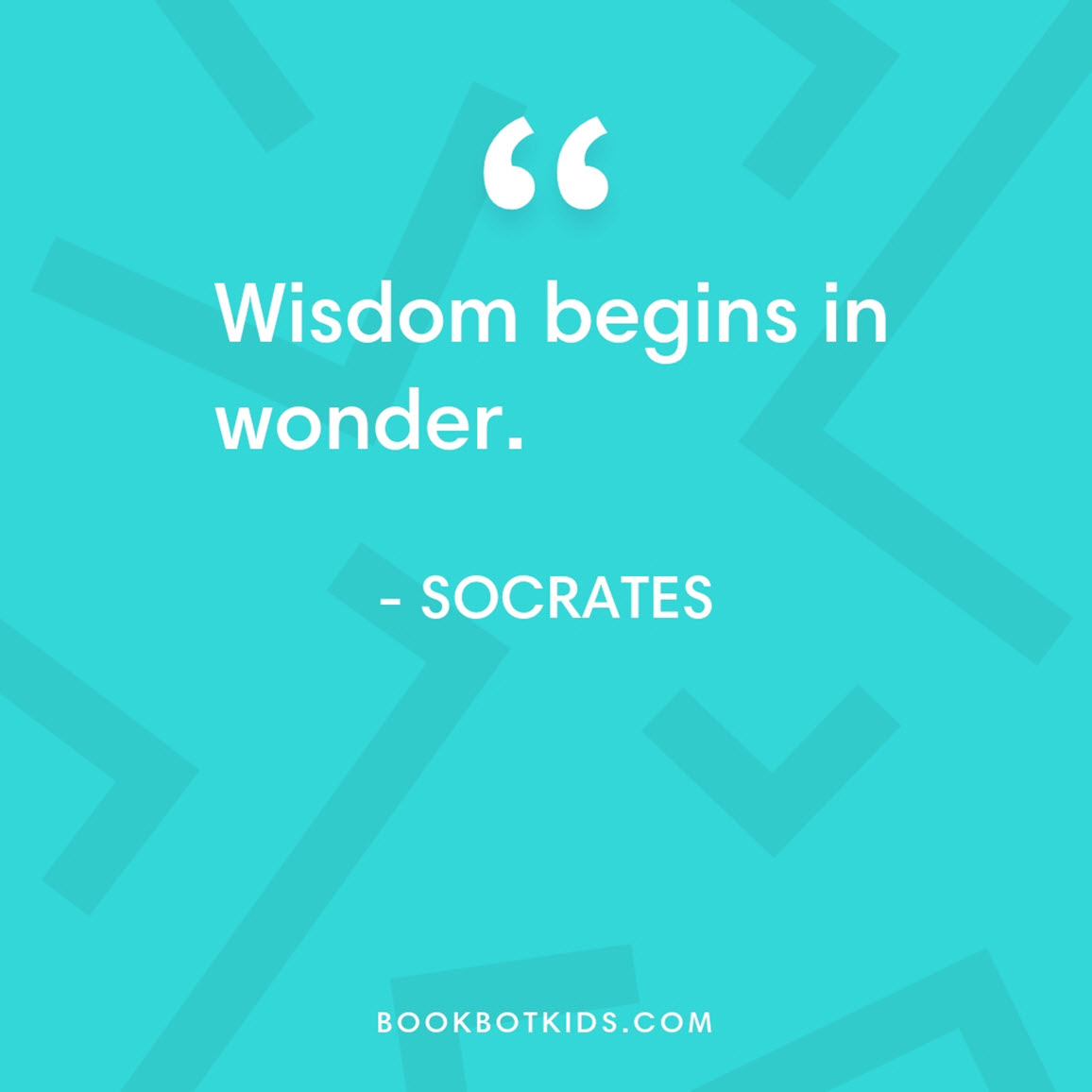 Wisdom begins in wonder. – Socrates